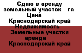 Сдаю в аренду земельный участок 8 га   › Цена ­ 100 - Краснодарский край Недвижимость » Земельные участки аренда   . Краснодарский край